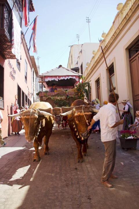 Hotel Rural Orotava Ля Оротава Экстерьер фото